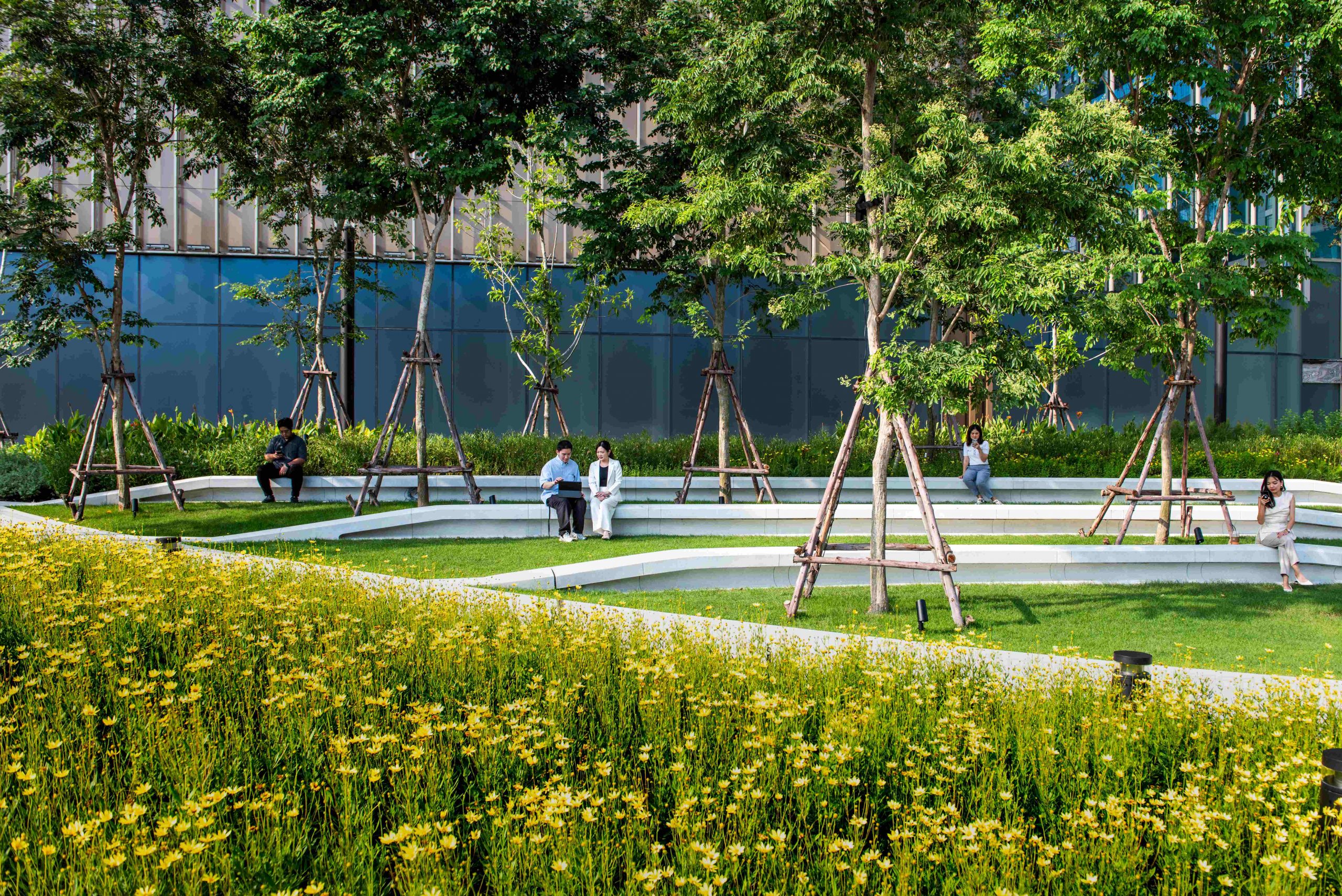 From Filter to Forest Why Outdoor Content Is Blowing Up Online